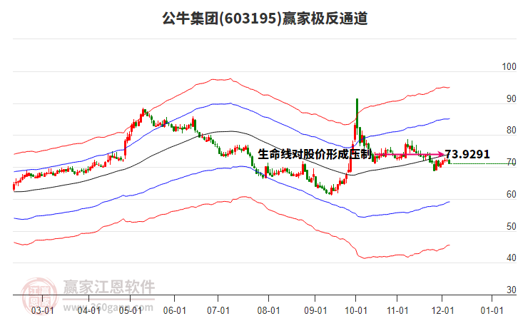 603195公牛集團贏家極反通道工具