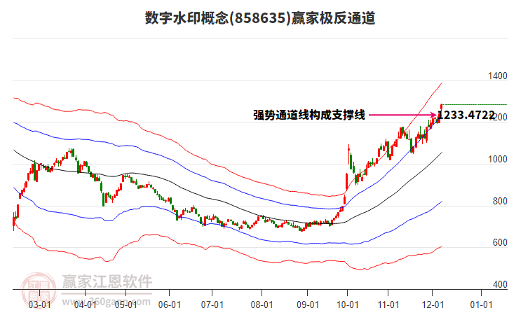 858635數(shù)字水印贏家極反通道工具