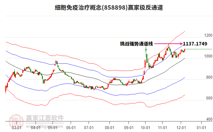 858898細胞免疫治療贏家極反通道工具