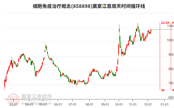 細胞免疫治療概念板塊江恩周天時間循環線工具