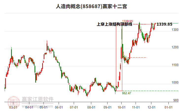 858687人造肉贏家十二宮工具 858687人造肉贏家十二宮工具