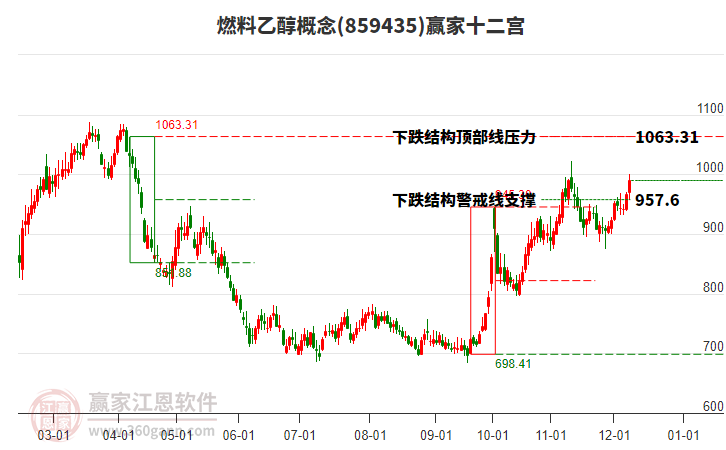 859435燃料乙醇贏家十二宮工具
