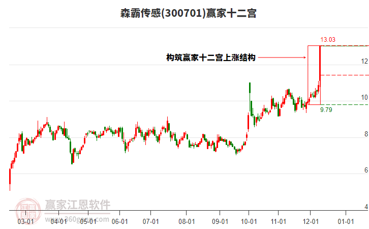 300701森霸傳感贏家十二宮工具