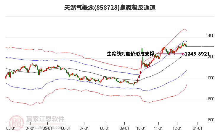 858728天然氣贏家極反通道工具