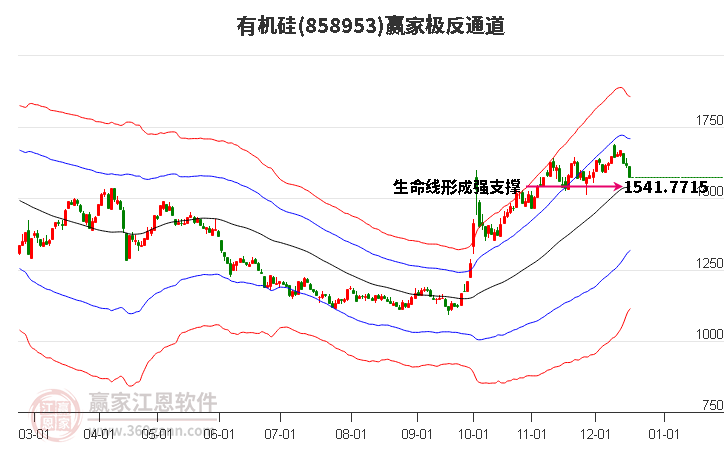 858953有機(jī)硅贏家極反通道工具