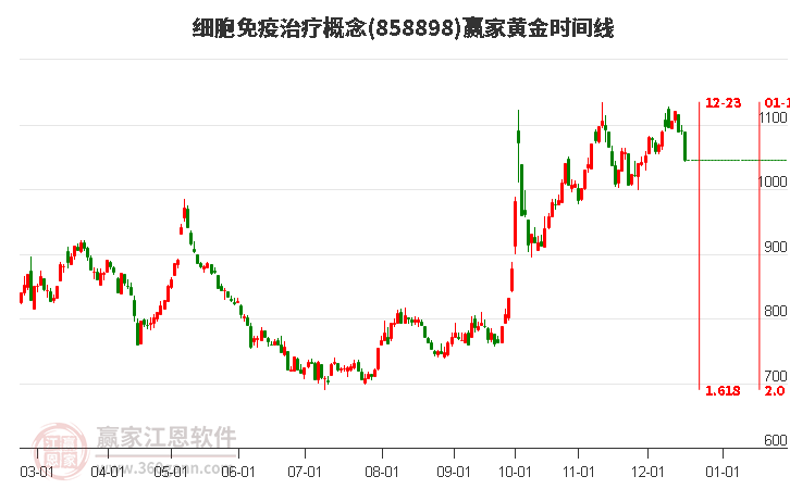 細胞免疫治療概念黃金時間周期線工具