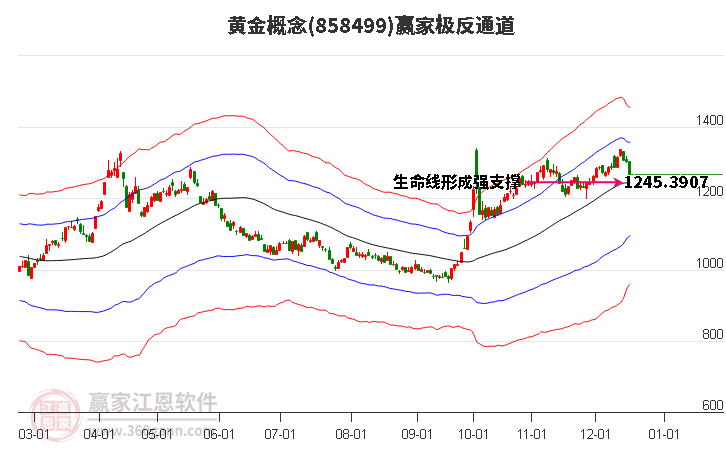 858499黃金贏家極反通道工具