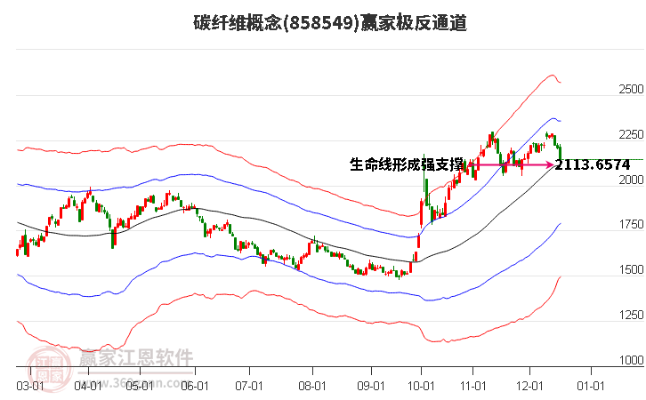 858549碳纖維贏家極反通道工具