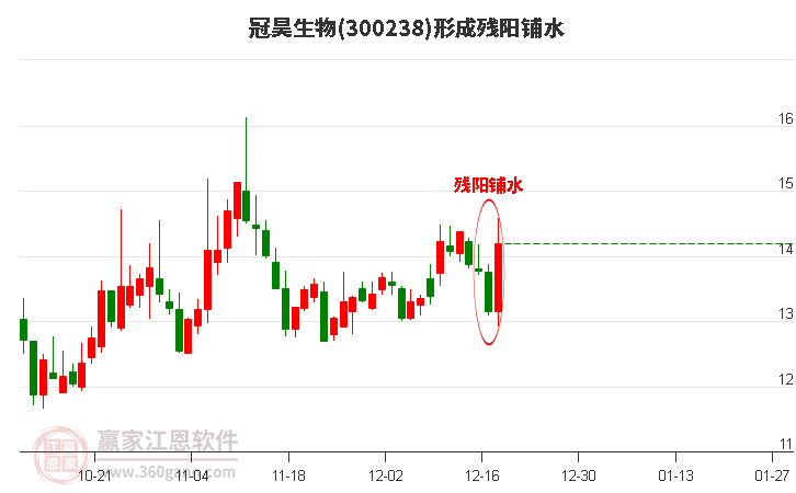 300238冠昊生物形成殘陽鋪水形態(tài)