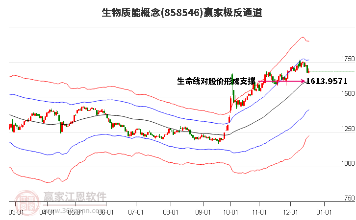 858546生物質能贏家極反通道工具