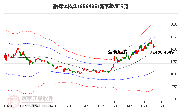 859496融媒體贏家極反通道工具