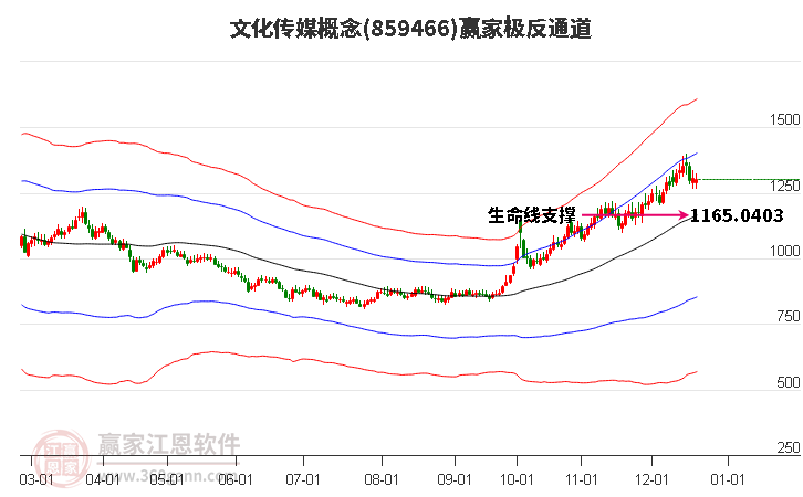 859466文化傳媒贏家極反通道工具