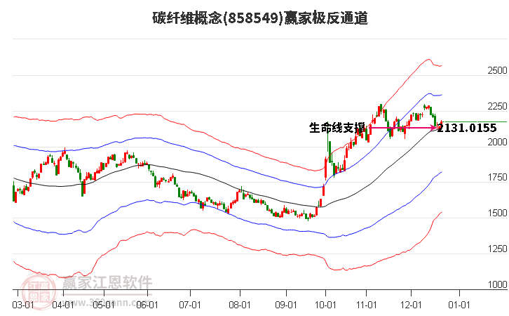 858549碳纖維贏家極反通道工具