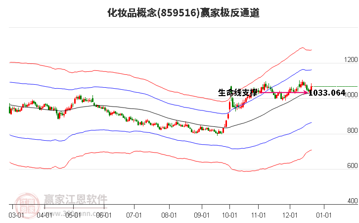 859516化妝品贏家極反通道工具