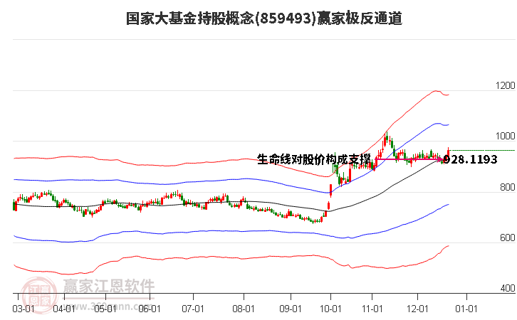 859493國家大基金持股贏家極反通道工具