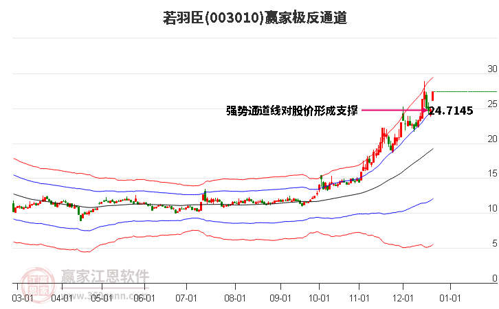 003010若羽臣贏家極反通道工具