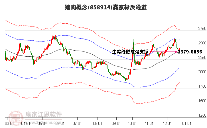 858914豬肉贏家極反通道工具