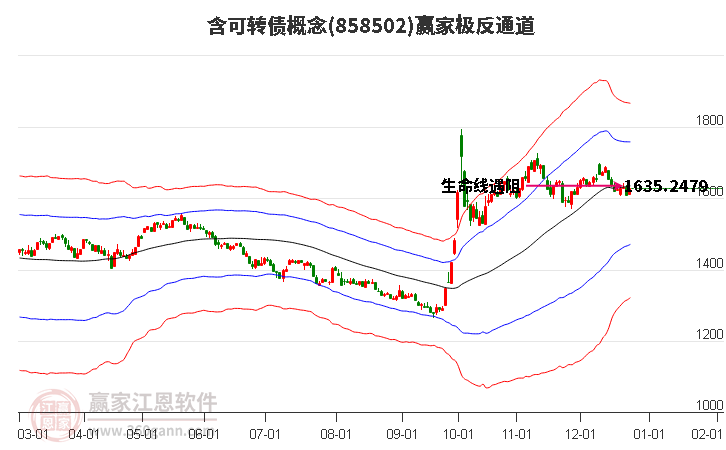 858502含可轉(zhuǎn)債贏家極反通道工具