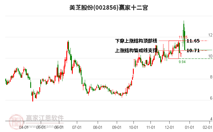 002856美芝股份贏家十二宮工具