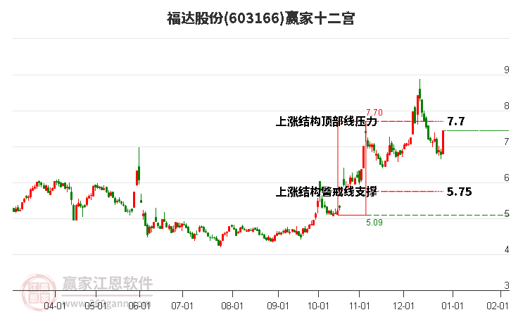 603166福達(dá)股份贏家十二宮工具