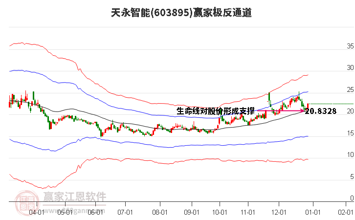 603895天永智能贏家極反通道工具 603895天永智能贏家極反通道工具