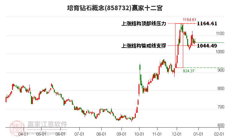 858732培育鉆石贏家十二宮工具