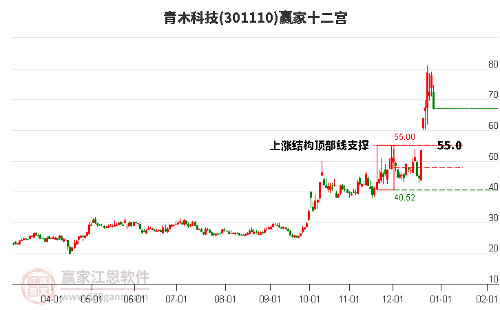 301110青木科技贏家十二宮工具