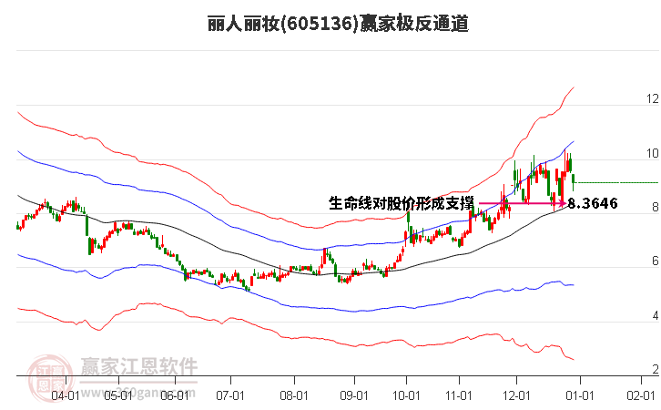 605136麗人麗妝贏家極反通道工具 605136麗人麗妝贏家極反通道工具