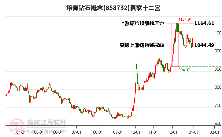 858732培育鉆石贏家十二宮工具