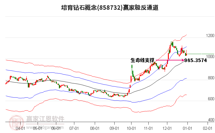 858732培育鉆石贏家極反通道工具