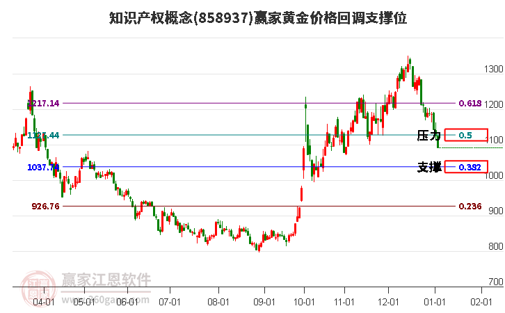 知識產(chǎn)權(quán) 知識產(chǎn)權(quán)