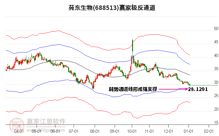 688513苑東生物贏家極反通道工具