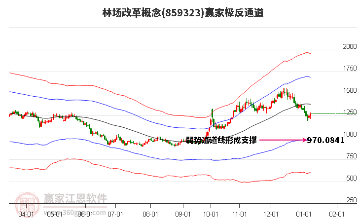 859323林場改革贏家極反通道工具
