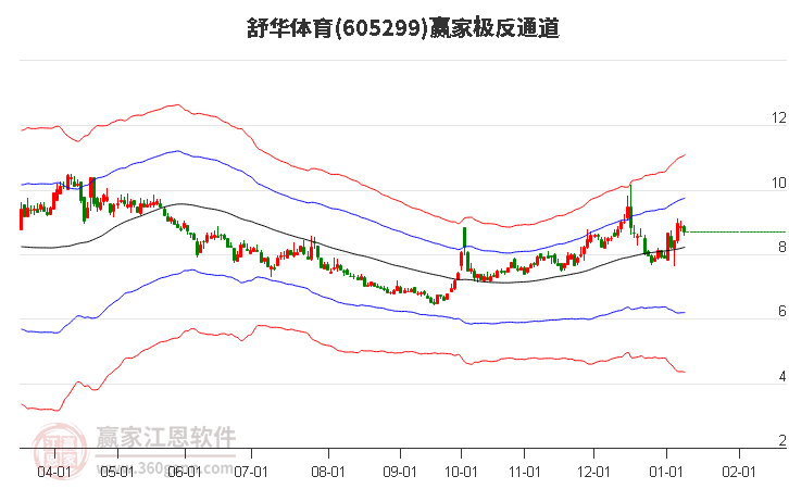 605299舒華體育贏家極反通道工具 605299舒華體育贏家極反通道工具