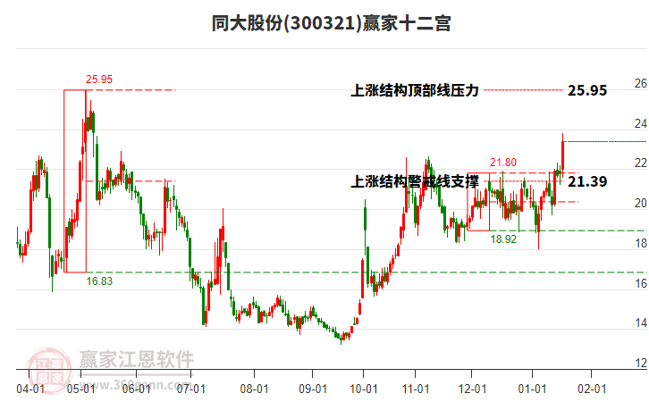 300321同大股份贏家十二宮工具