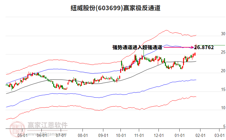603699紐威股份贏家極反通道工具