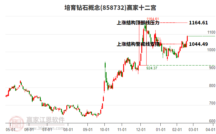 858732培育鉆石贏家十二宮工具