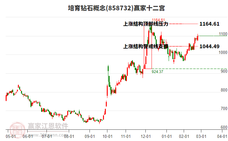 858732培育鉆石贏家十二宮工具