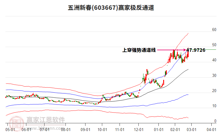 603667五洲新春贏家極反通道工具