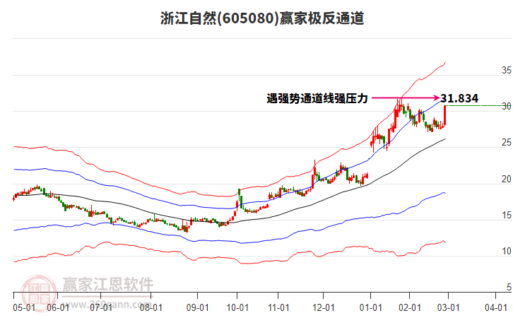 605080浙江自然贏家極反通道工具
