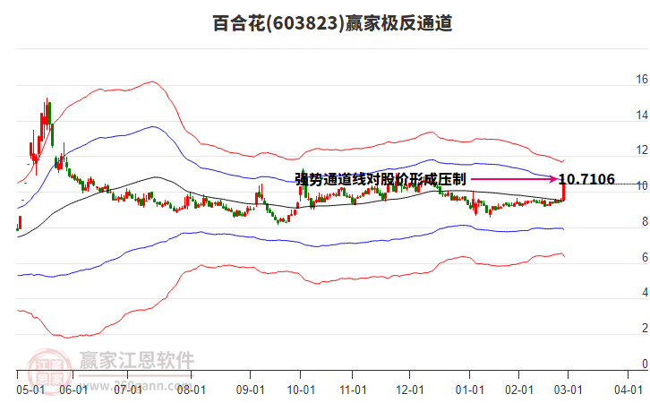 603823百合花贏家極反通道工具