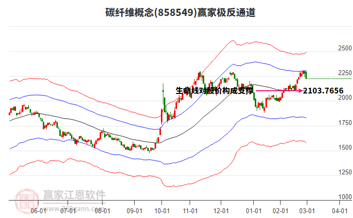 858549碳纖維贏家極反通道工具