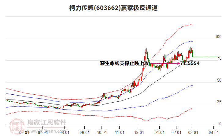 柯力傳感 柯力傳感