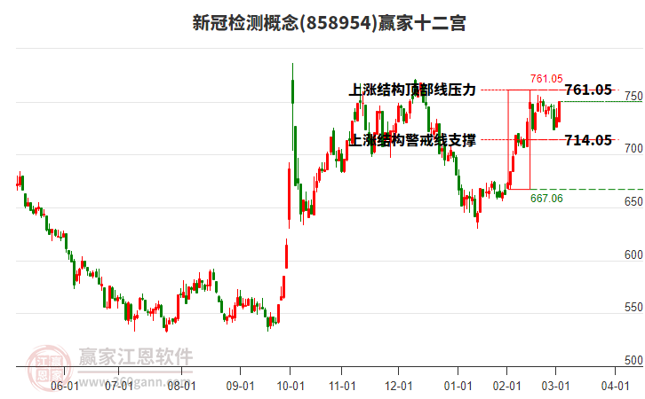 858954新冠檢測贏家十二宮工具