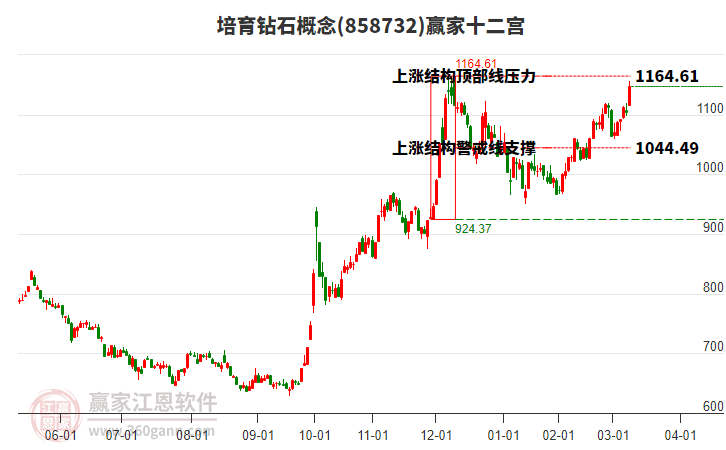 858732培育鉆石贏家十二宮工具