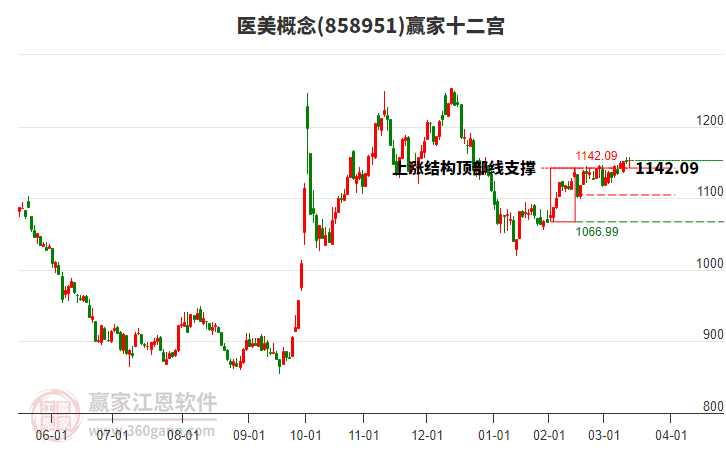858951醫(yī)美贏家十二宮工具
