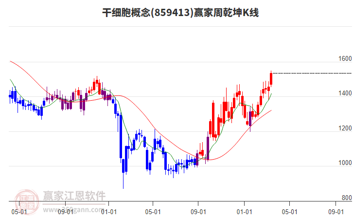 干細(xì)胞 干細(xì)胞