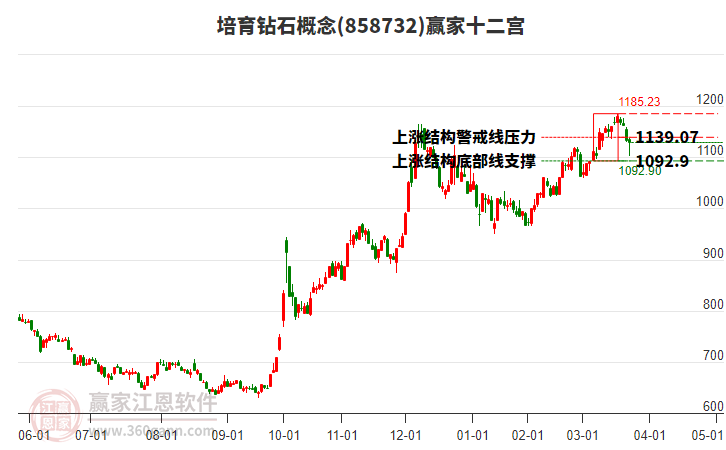 858732培育鉆石贏家十二宮工具