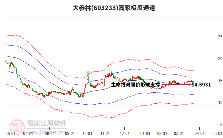 603233大參林贏家極反通道工具