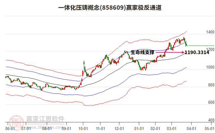 858609一體化壓鑄贏家極反通道工具 858609一體化壓鑄贏家極反通道工具